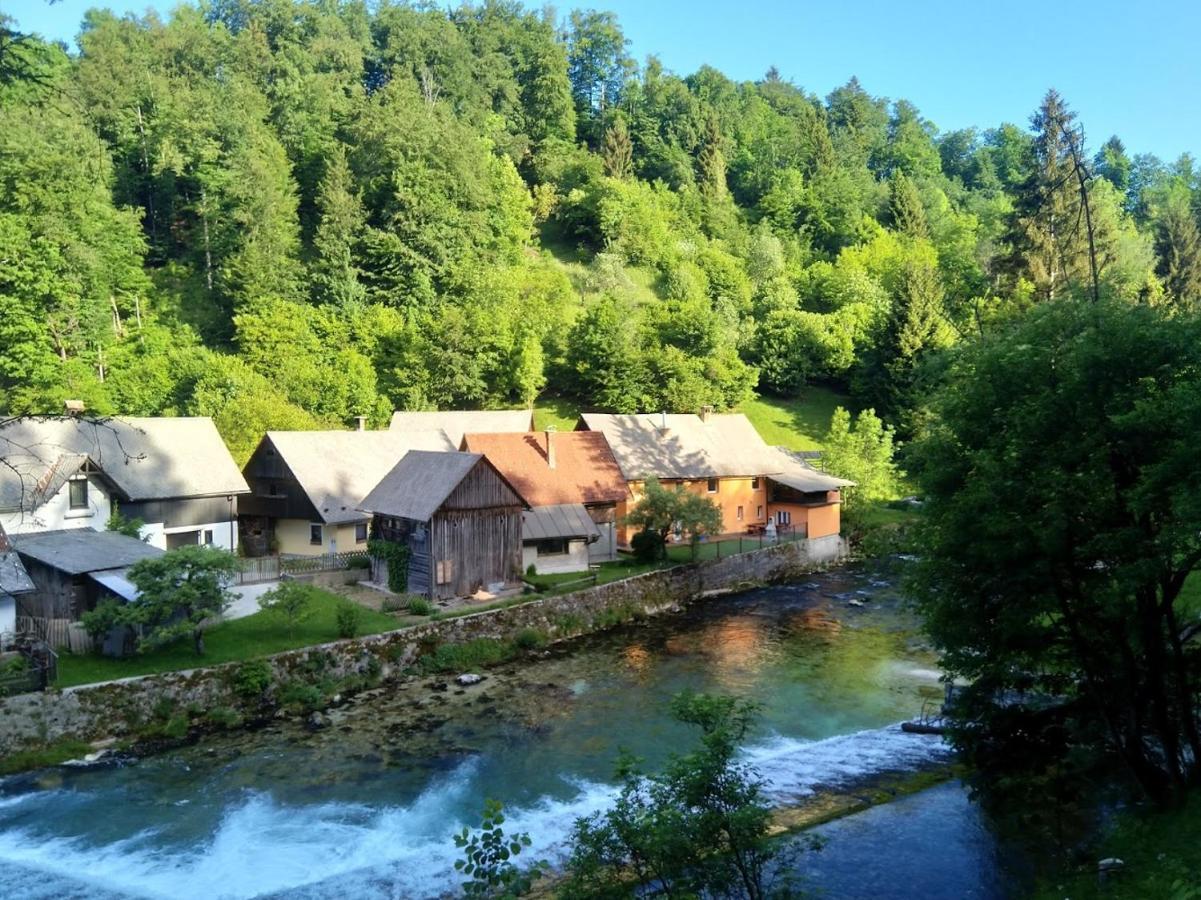 Вилла House By The River Згорнье-Горье Экстерьер фото